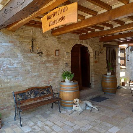 Agriturismo Il Borghetto Montefalco Ngoại thất bức ảnh