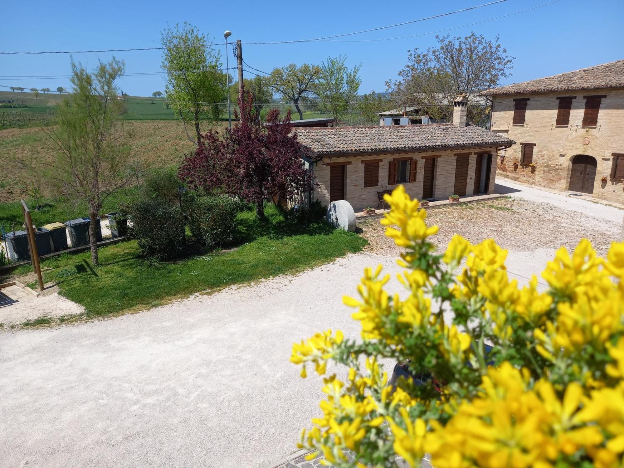 Agriturismo Il Borghetto Montefalco Ngoại thất bức ảnh
